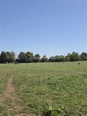 terrain agricole à la vente -   61240  LE MERLERAULT, surface 27100 m2 vente terrain agricole - UBI483919349